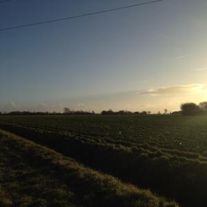 Landscape property of Teresa Goldson