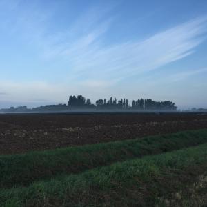 Morning Mist across Rumburgh eresa Goldson