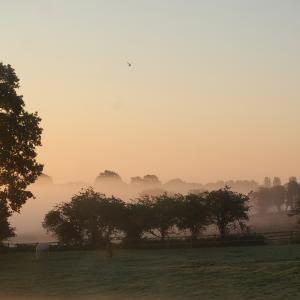 sunrise